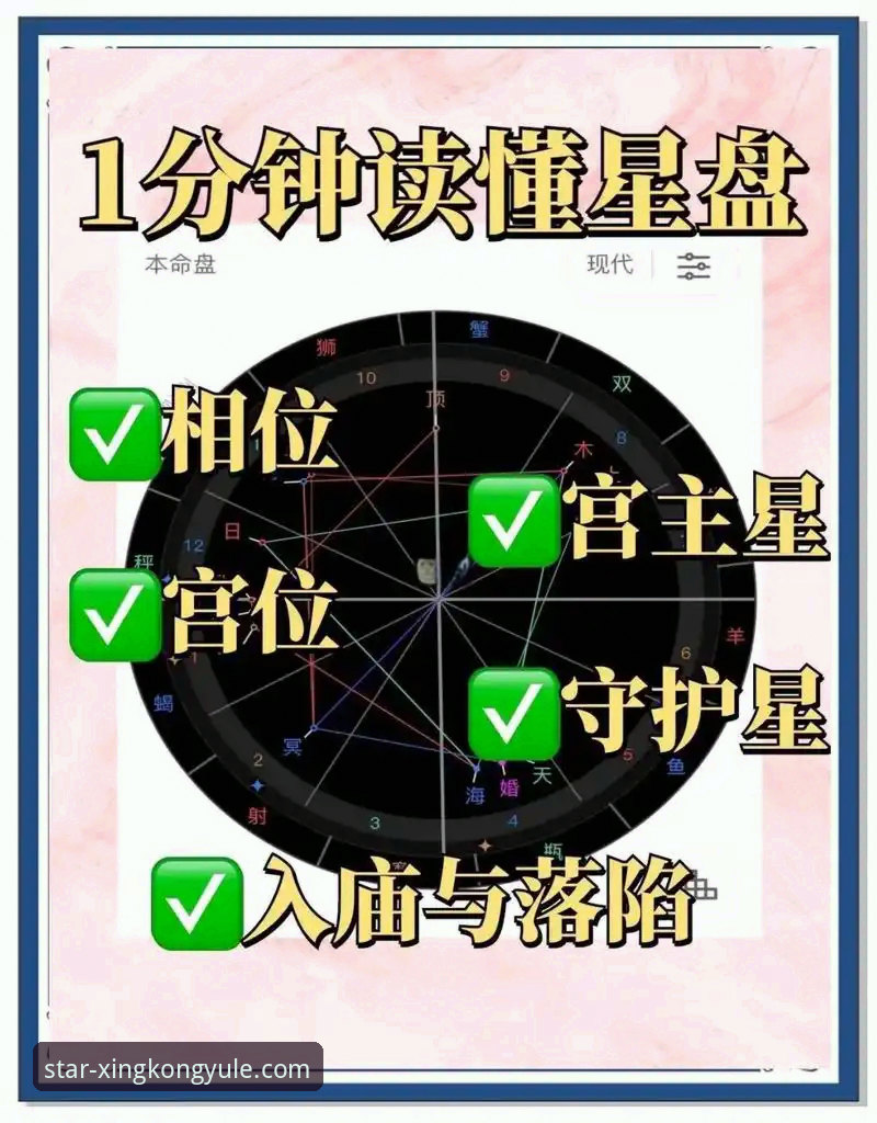 星空娱乐官方网址实用指南：新手必知的五大必备知识